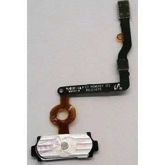 ^C45B3E4135AD70188ED9E^pimgpsh_fullsize_distr