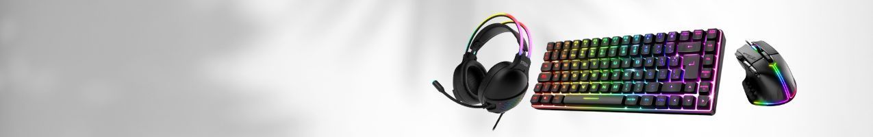 Bases para Portátil