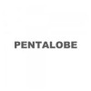 Pentalobe